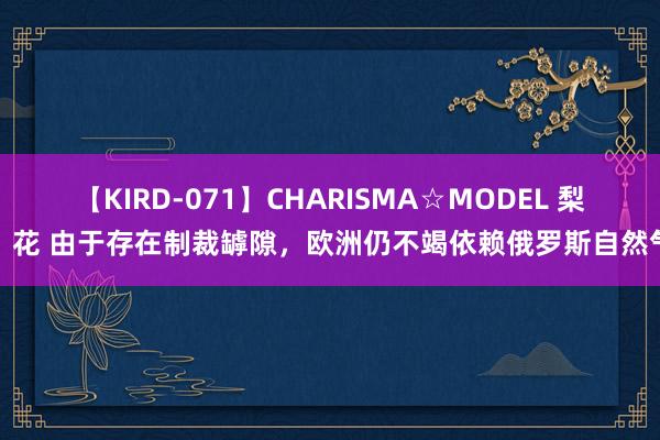 【KIRD-071】CHARISMA☆MODEL 梨々花 由于存在制裁罅隙，欧洲仍不竭依赖俄罗斯自然气