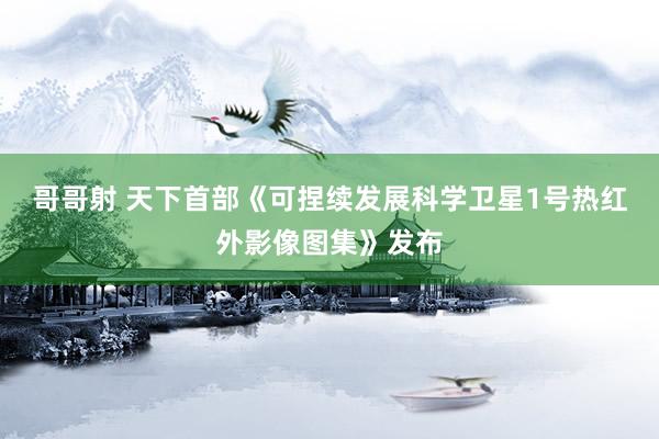 哥哥射 天下首部《可捏续发展科学卫星1号热红外影像图集》发布