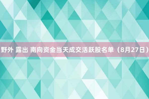 野外 露出 南向资金当天成交活跃股名单（8月27日）