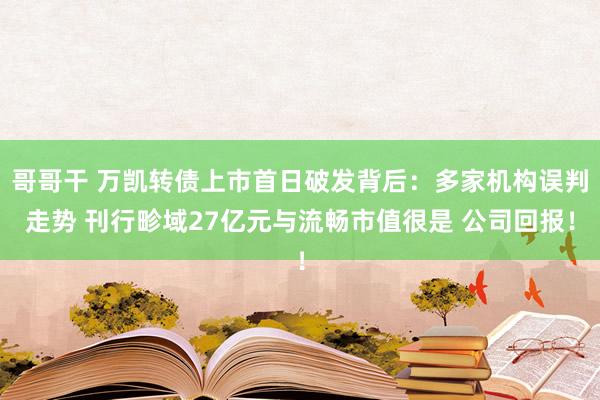 哥哥干 万凯转债上市首日破发背后：多家机构误判走势 刊行畛域27亿元与流畅市值很是 公司回报！