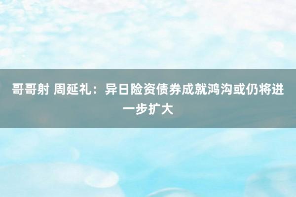 哥哥射 周延礼：异日险资债券成就鸿沟或仍将进一步扩大