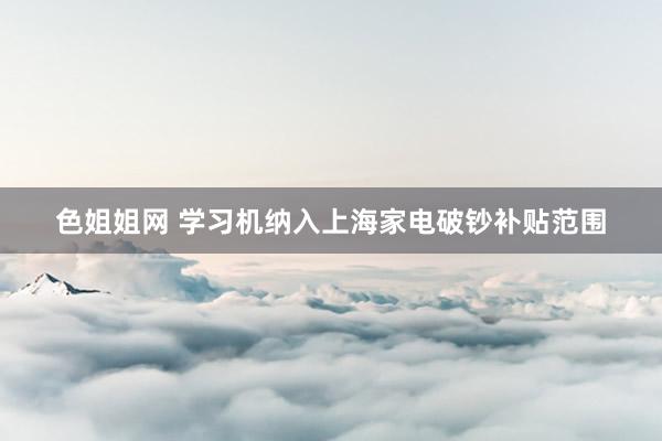 色姐姐网 学习机纳入上海家电破钞补贴范围