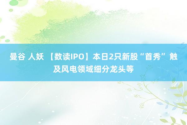 曼谷 人妖 【数读IPO】本日2只新股“首秀” 触及风电领域细分龙头等