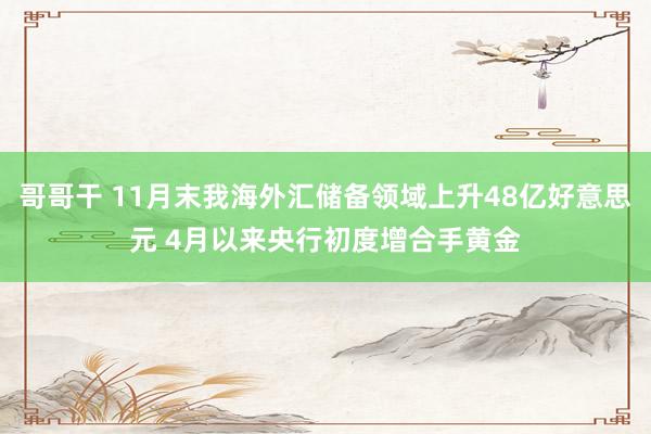 哥哥干 11月末我海外汇储备领域上升48亿好意思元 4月以来央行初度增合手黄金