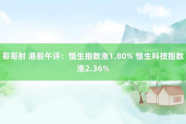 哥哥射 港股午评：恒生指数涨1.80% 恒生科技指数涨2.36%