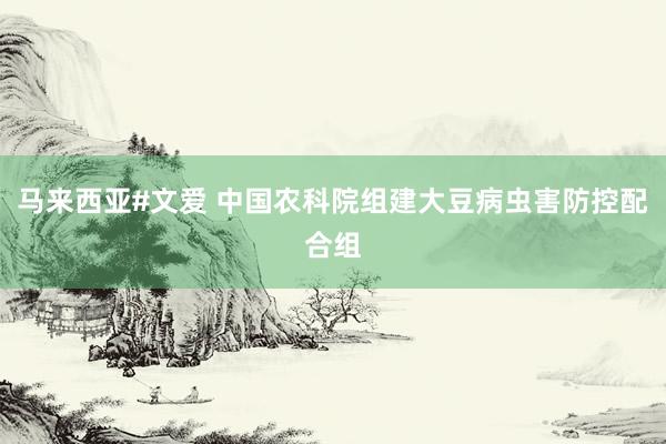 马来西亚#文爱 中国农科院组建大豆病虫害防控配合组